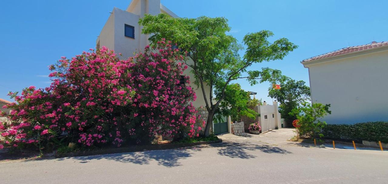Boutique Home Saltaragazza Petrovac na moru Exterior foto