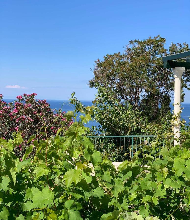 Boutique Home Saltaragazza Petrovac na moru Exterior foto